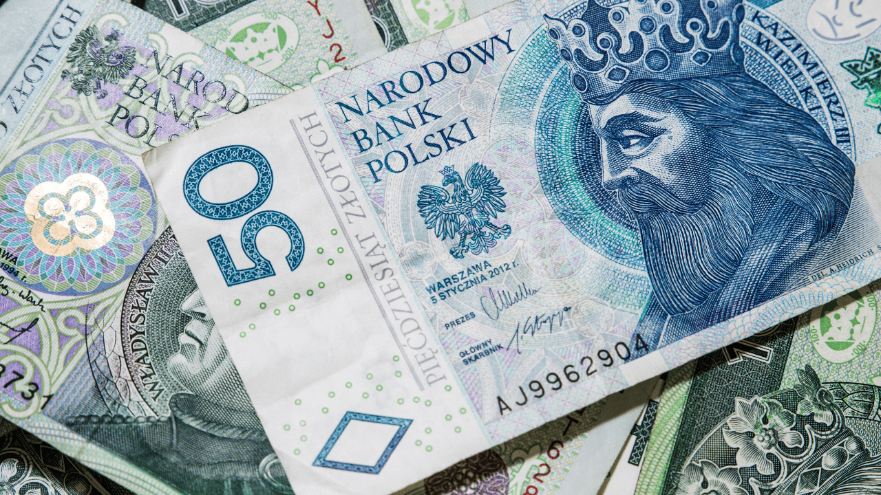 Kierowcy zawodowi – zarabiają dużo czy mało?